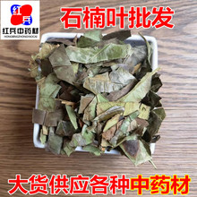 批发 石楠叶 石南叶 产地货源 量大价优