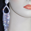 Fashionable accessory, earrings, European style, diamond encrusted, internet celebrity