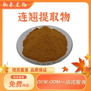连翘提取物植物比例萃取连翘苷食品保健品原料厂家供应连翘粉厂家