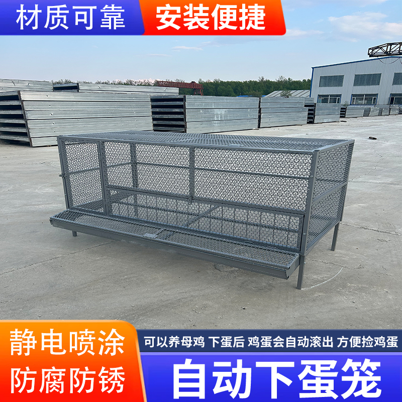 尖顶鸡笼室外饲养笼防鼠黄鼠狼防雨加密加厚鸭鹅兔芦丁鸡养殖笼子|undefined