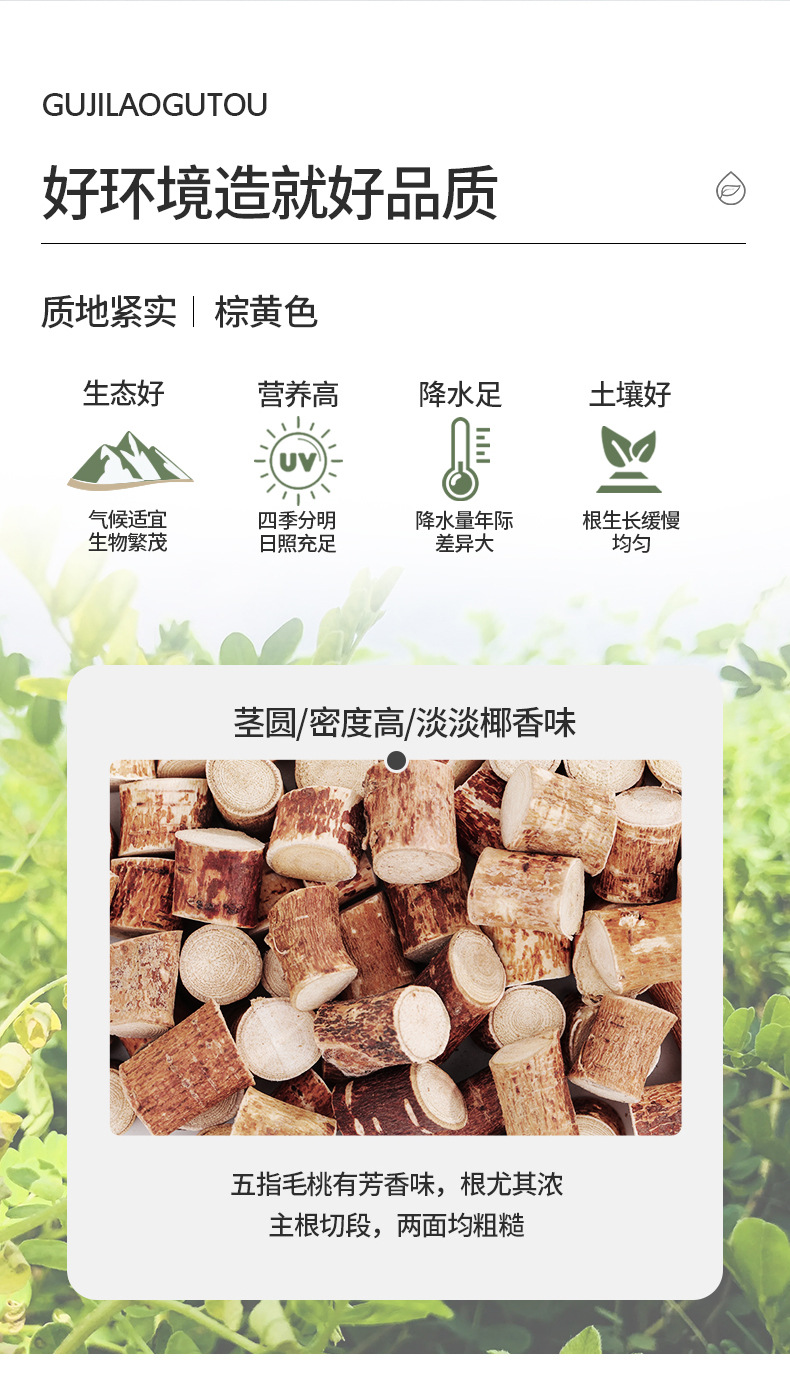 Dried Wuzhimaotao Root Herbal Tea Soup Ingredient 260g overview