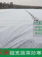 农用蔬菜防寒布萝卜白菜保温大蒜窝笋茶叶防霜冻保暧透气防寒布