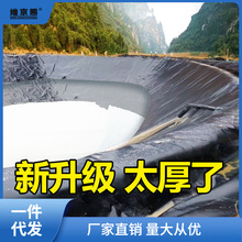 鱼池防水布水池防水帆布水产养殖塑料布蓄水池果园蓄水专用加厚