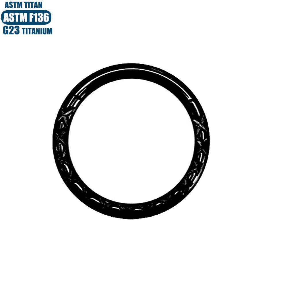 F136 Titanium Alloy Implant-Grade Nose Ring Zircon Earrings Seamless Ring Nose Ring Fashion Jewelry Septum Piercing Ear Bone Ring detail image 34