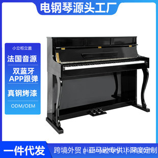 Manufacturer Wholesale Large Cabinet Electric Piano 88-Key Heavy Hammer Professional Grade Examination Digital Intelligent Vertical Digital Electric Piano