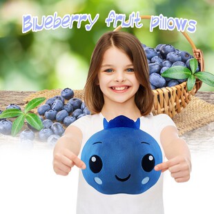 �羳��ƷBlueberryfruitpillowˮ���{ݮ���ë�q���пɐ۶Y�￨ͨ