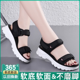 �x����S��כ�ЬŮ2023���ļ��¿�W�t�@�ߕr��ƽ��ħ�g�N���e�\