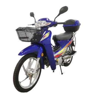 simple two-wheeled motorbike, Motosikletlər