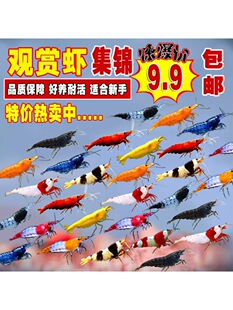 �^�p�r��ˮ�r�����r�坍�r�~�׹����rˮ��С�r������B�ښ��ѻ�