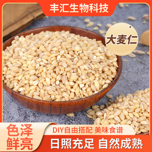 �S�ҹ����Zʳ�����r���Ԯa����s�Z���lɢ�b�ּZÓƤ������