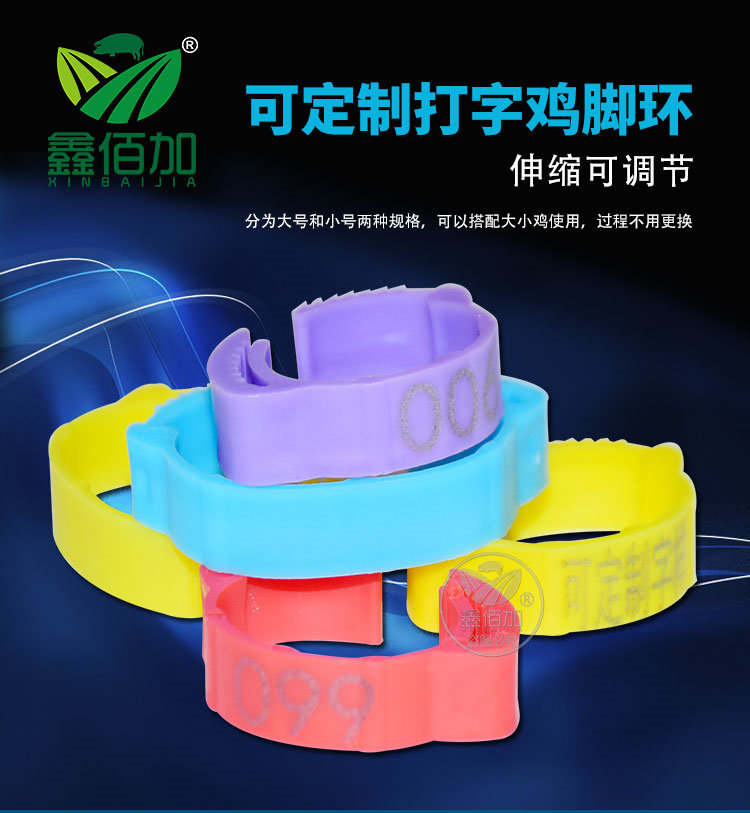 鸡脚环可调BA详情页 (1).jpg