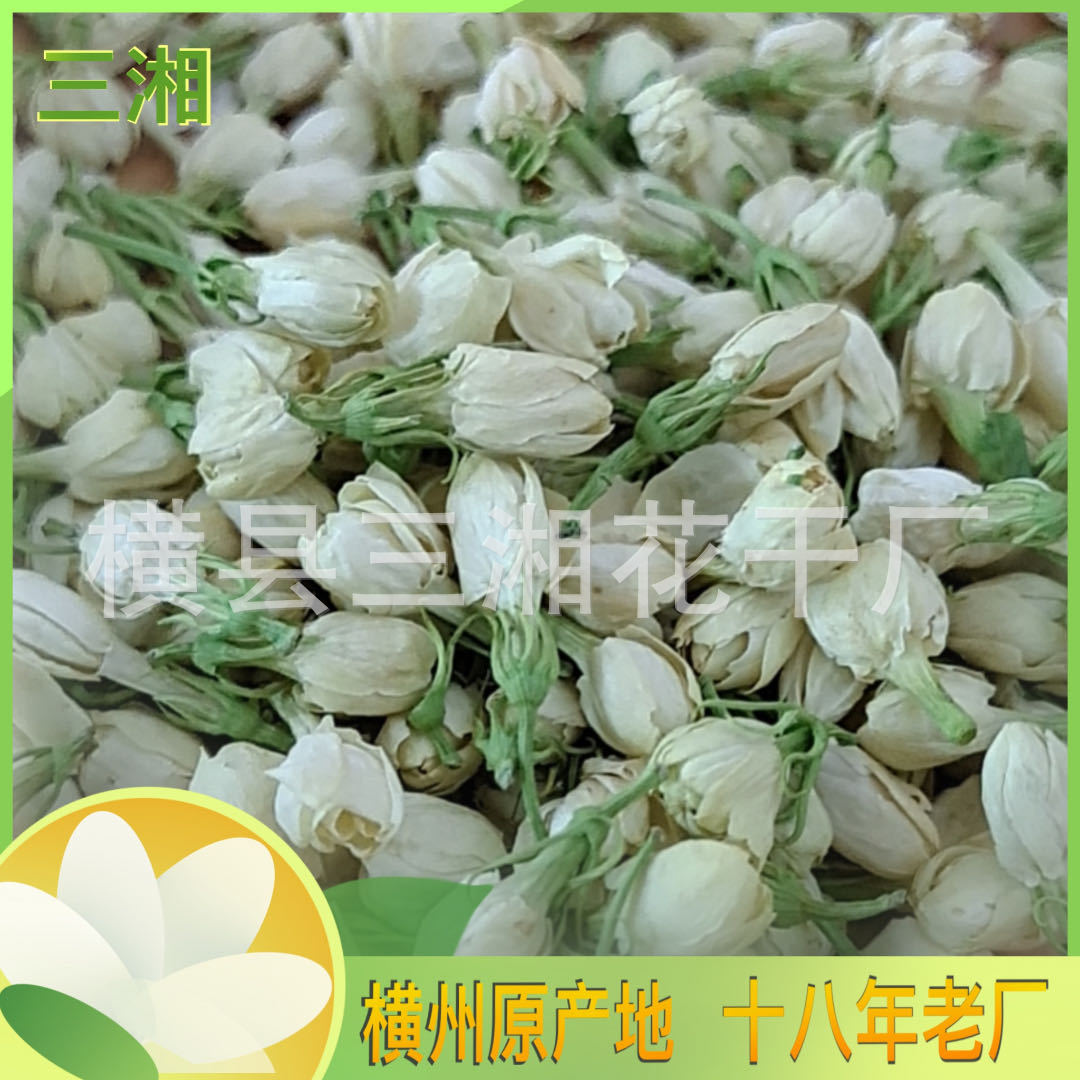 广西南宁横州市茉莉花，产地大量供应2025年茉莉小花蕾干