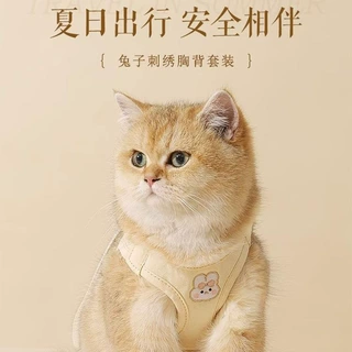 猫咪牵引绳宠物胸背带背心式防挣脱猫绳子遛猫绳溜猫链子外出专用