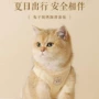 背心式宠物遛猫绳