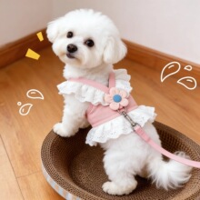 ���������K�ɐ�JKȹС���ر�������Ó��Ȯ����̩���ļ�����ʽ���K