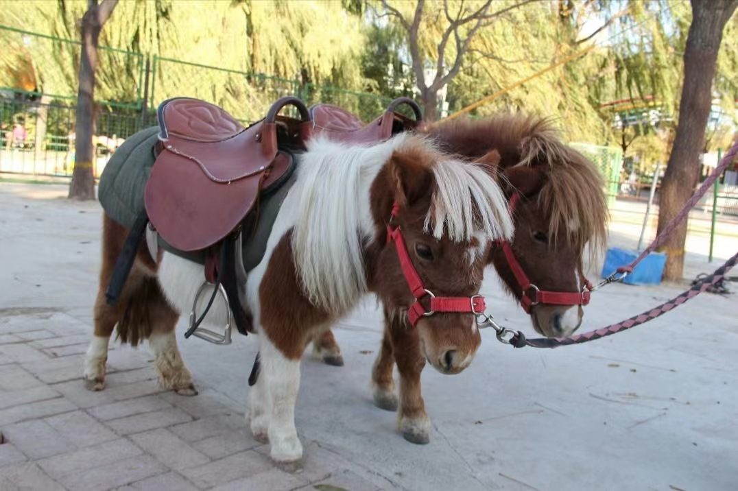 微信图片_20230429203431