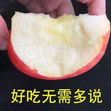 【特級果】山東煙台棲霞紅富士蘋果新鮮水果脆甜10斤5斤批發包郵