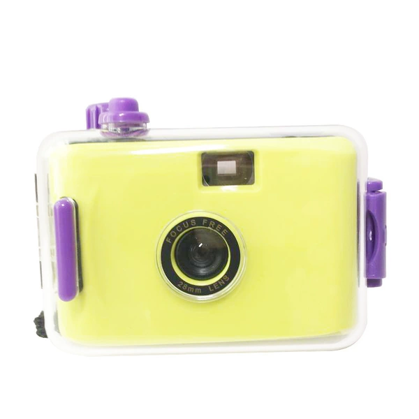 Green purple shell