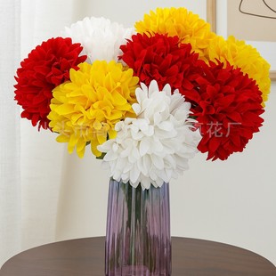 �������ջ����c����·���廨��̖ƹ�Ҿ���չ��L�h���^�����