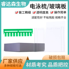 Western Blot �̲����� ������� �����屡�Ӱ� WB�����Ӿ���z��