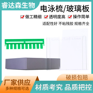 Western Blot �̲����� ������� �����屡�Ӱ� WB�����Ӿ���z��