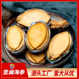 大个头冻干鲍鱼海鲜干活特产 肉质紧实易泡发 酒店食材家用滋补