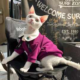 宠物猫咪衣服秋冬款蓝猫紫莓雪尼尔绒无毛猫衣服德文冬天保暖四脚