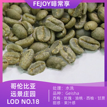 25季哥伦远景庄园LOD18 瑰夏生豆水洗 西梅|玫瑰|油桃|西柚|甘蔗