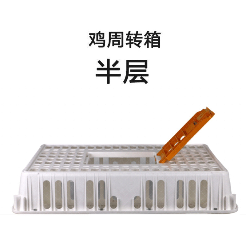 4.4kg 흰닭장-반층