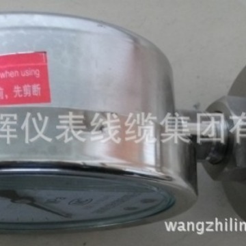 不锈钢耐震隔膜压力表YTPN-100B膜片压力表