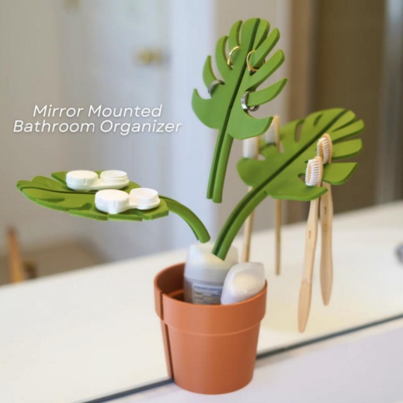 Cross-border new Monstera Coaster Plant Monstera Coaster Plant Plant…