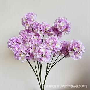�羳3�^���㽑��ľ����c�T�ꙻ����������ɳ�����Ք[���b���