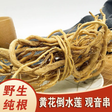 ��ƷҰ���ƻ���ˮ����ҩ��500g�������лƻ��θ������Ƹ��ƻ�Զ־