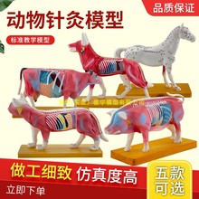 ��؈�iţ�R�wᘾ�ģ�� ȮѨλ ����ᘾ� �F�t�̌W�������ģ��