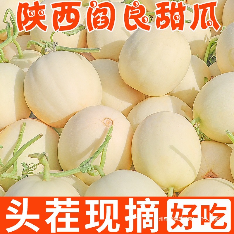 蜜瓜小白羊角斤10香瓜整箱陕西瓜蜜阎良甜瓜包邮新鲜水果当季橄榄