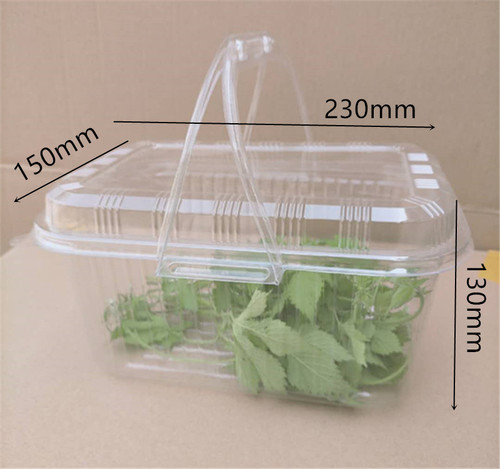 One-time plastic packaging boxes for food storage, boxes for cakes, bread, and pastries, one pound of peach crumb boxes.