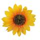 Simulation sunflower flower flower wholesale handmade sunflower silk flower cloth flower chrysanthemum straw hat schoolbag decorative dance props