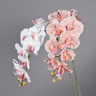 �����m���滨9�^С�t��ͬ���nʽins����[�����ՔzӰ�Ҿ��bٻ�