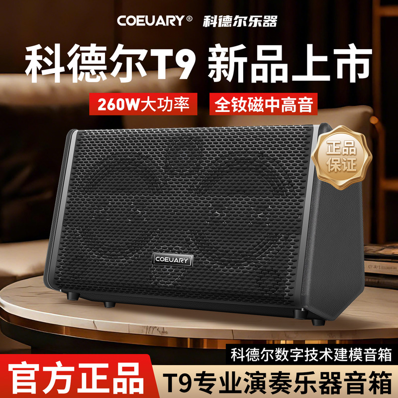 Cordell T9 Guitar Amplifier 260W High-Power Outdoor Portable Live Performance and Singing Live Broadcast Recording Bluetooth Speaker