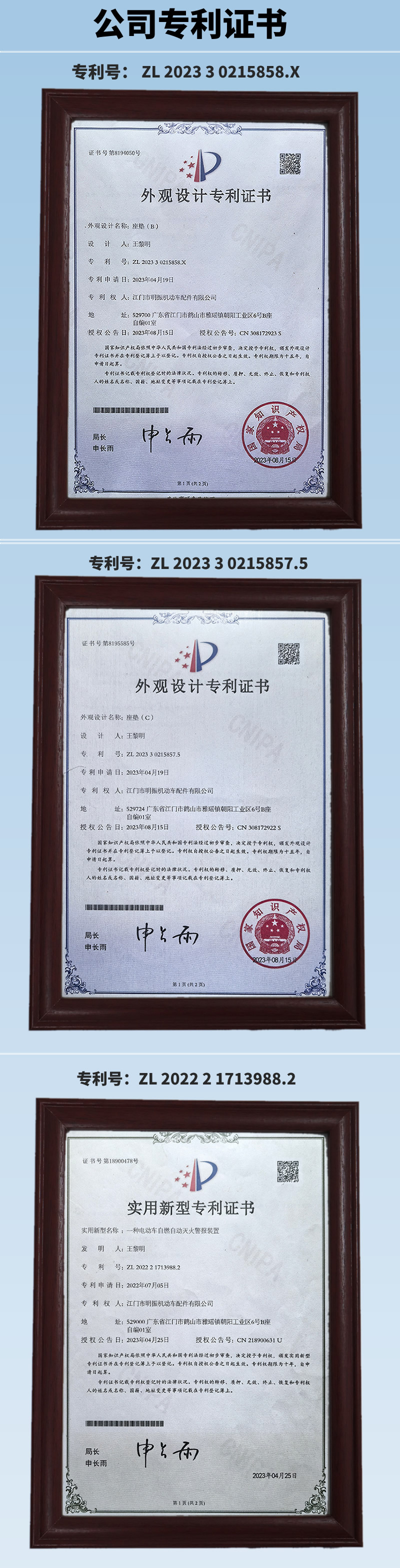 专利详情页