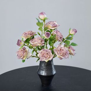 3�^��߅õ����滨�͹���ɫ���^�ٻ��Ҿӿ͏d�b���Y�zӰ����