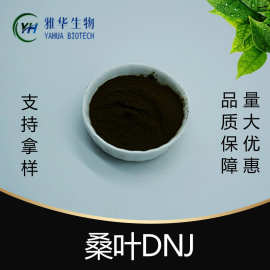 桑叶DNJ  雅华生物 CAS 19130-96-2 桑叶提取物 植物提取 多规格