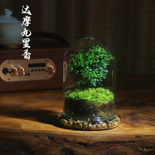 ΢���^ƿ̦�\΢���^���B�������쾰�Gֲ�辰�������Bƿ��Ʒ�Y��