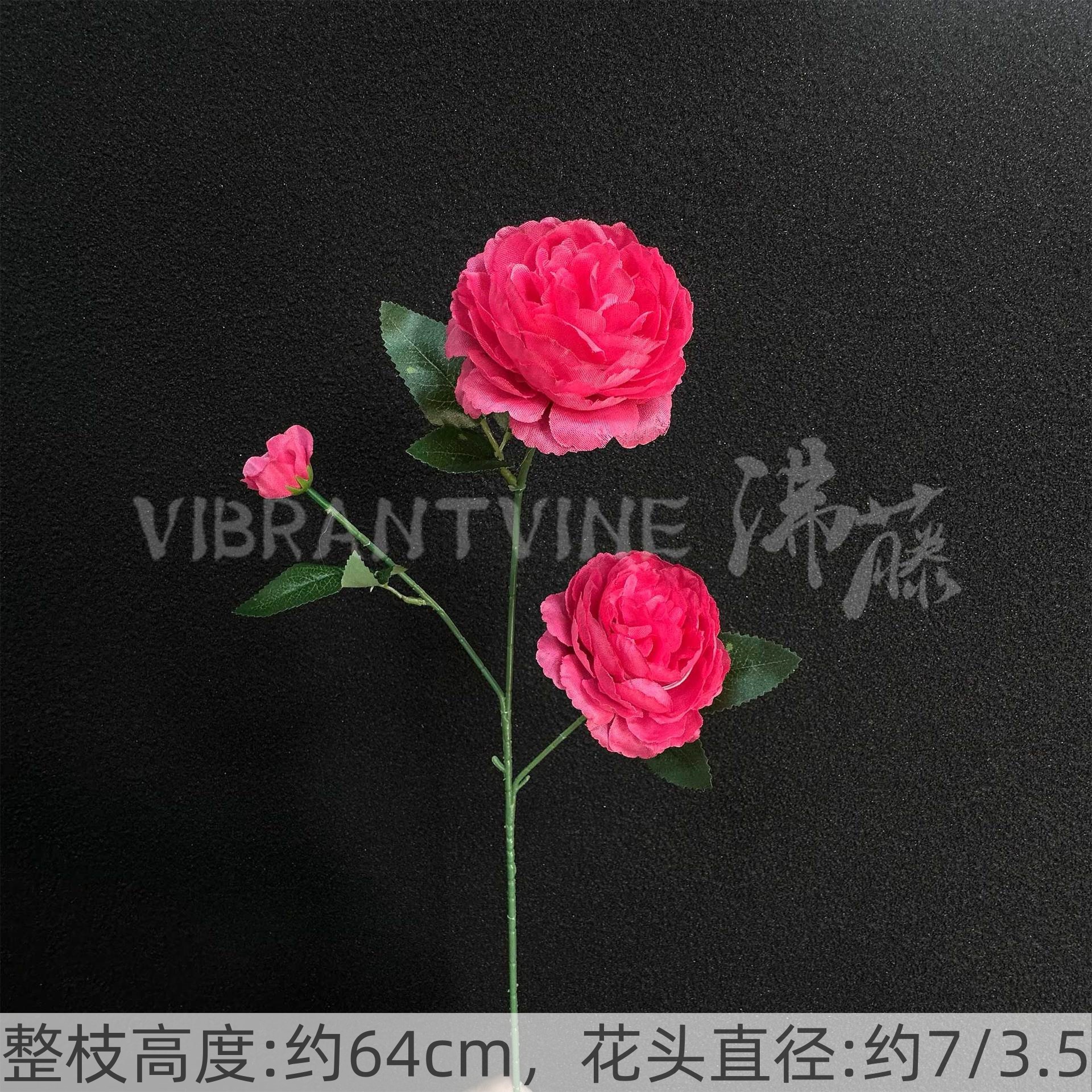 Rose red ocean peony