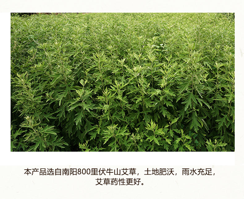 Smokeless Moxa Rolls 5 Stick Pack Carbonized Mugwort for Moxibustion Home Use preparation