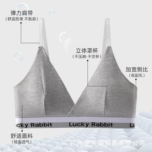 Exclusively for cross-border foreign trade cotton French sexy triangle cup sports bra set push-up bra for women without wire rings