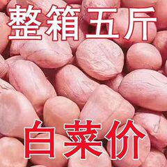 2025年新花生米生的花生米商用新鲜花生米白沙花生米10斤装