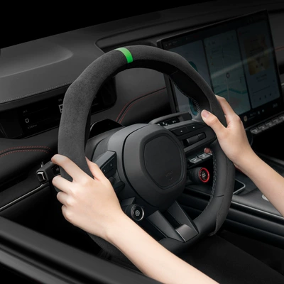 Steering wheel cover – Buckle