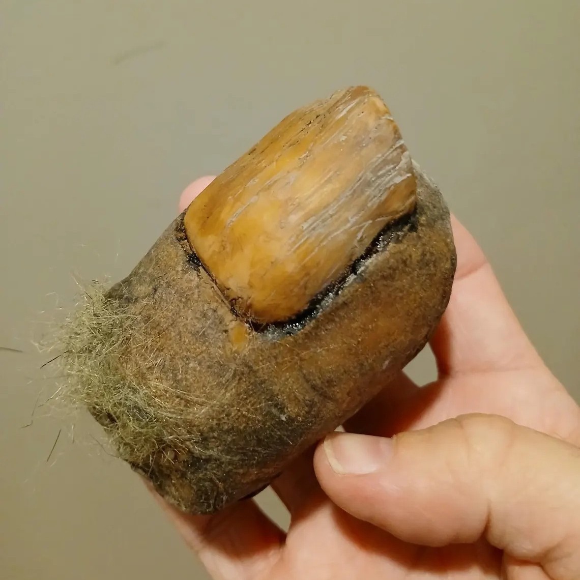 2025 Bigfoot explosivo transfronterizo de Amazon Toe Sasquatch fabricante de proceso de resina de dedo del pie al por mayor