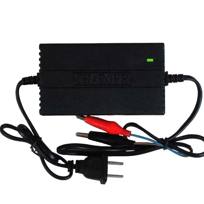 Источник производителя для крокодила плиты газовые электрические плиты электрические плиты электрические плиты Электрический опрыскиватель мотоцикл аккумуляторное зарядное устройство 12V20AH